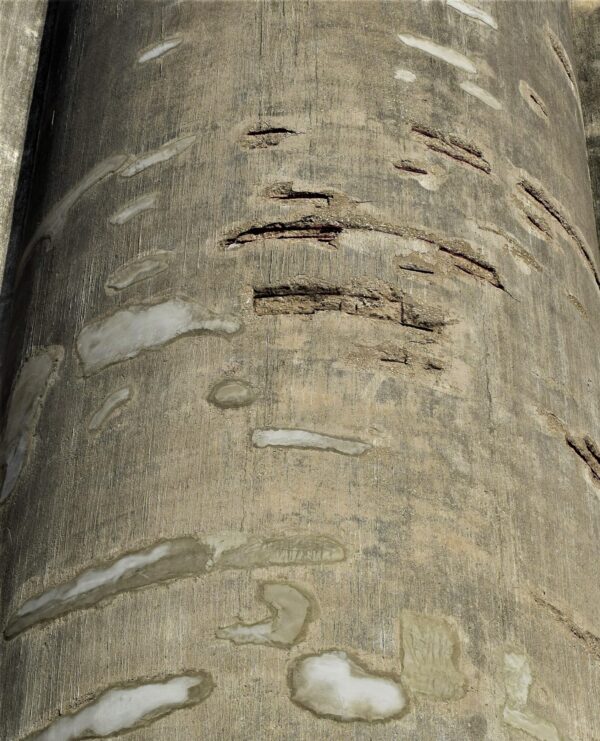 PC-Co-Op-Lexington2-3-scaled-600x741